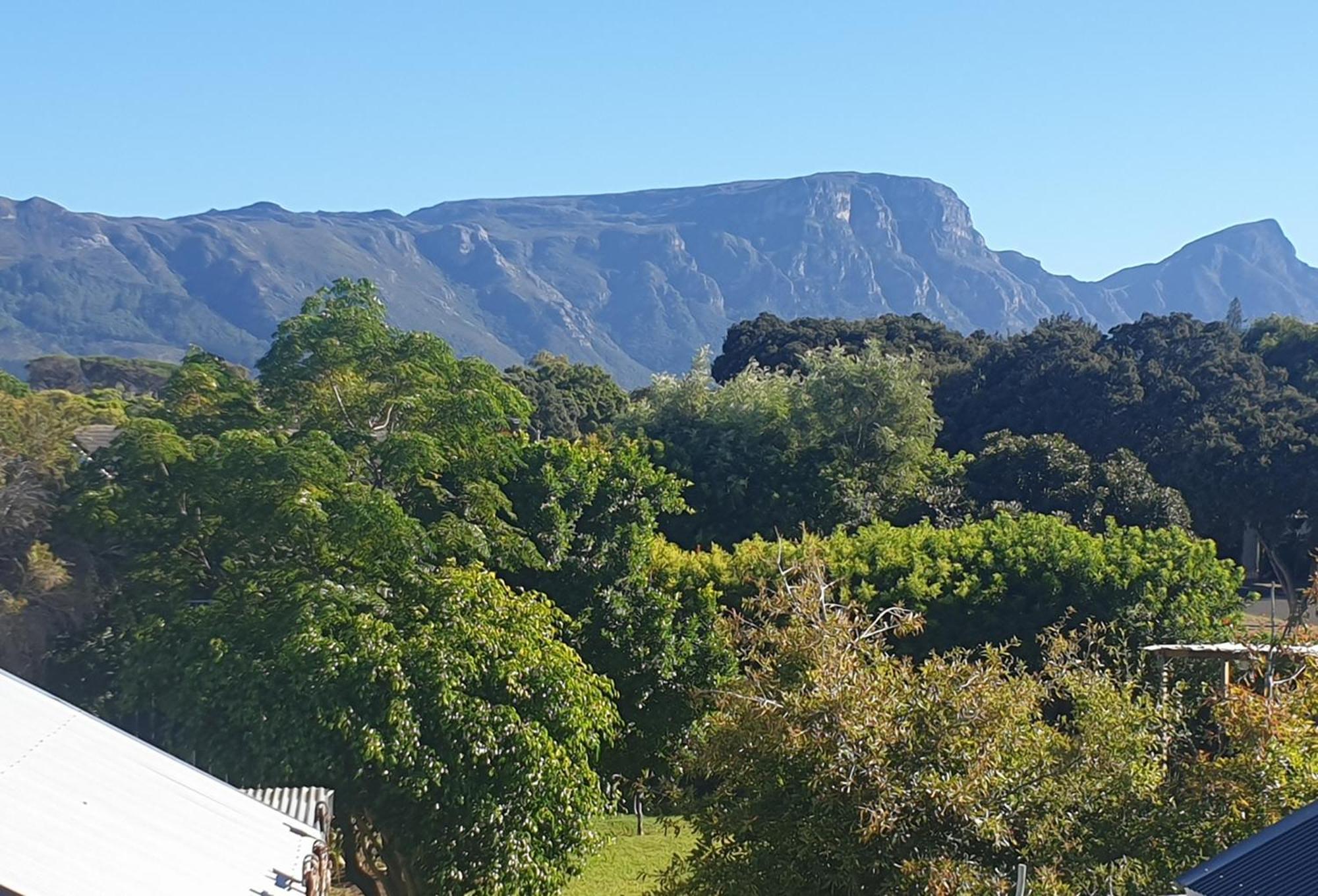 Clement One, A Villa For Family & Friends Cape Town Ngoại thất bức ảnh